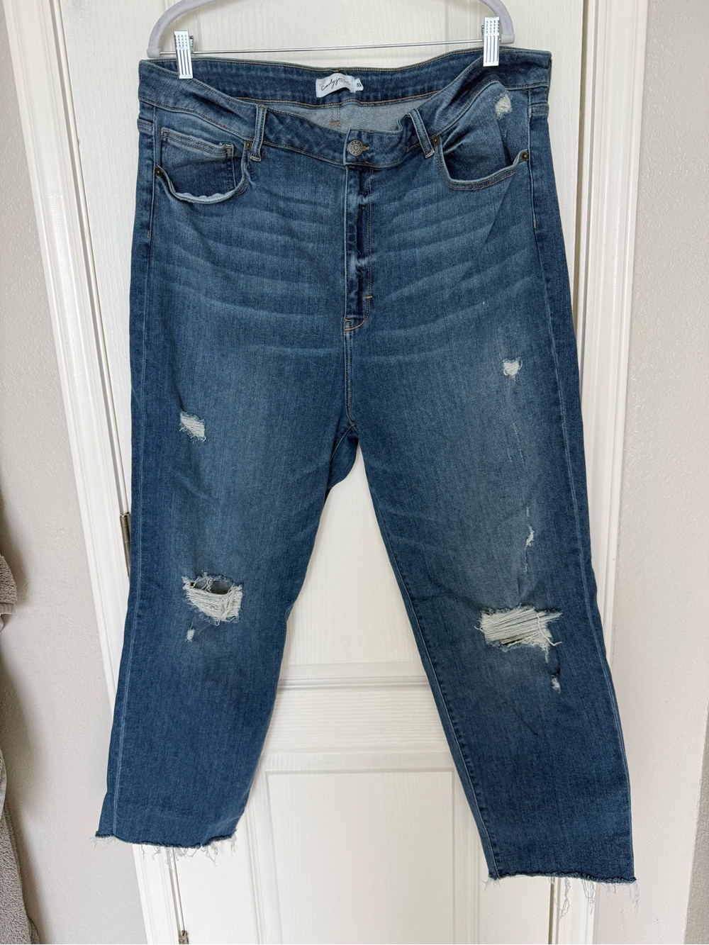 Carly Jean Los Angeles Dark Blue Distressed Women’s Jeans